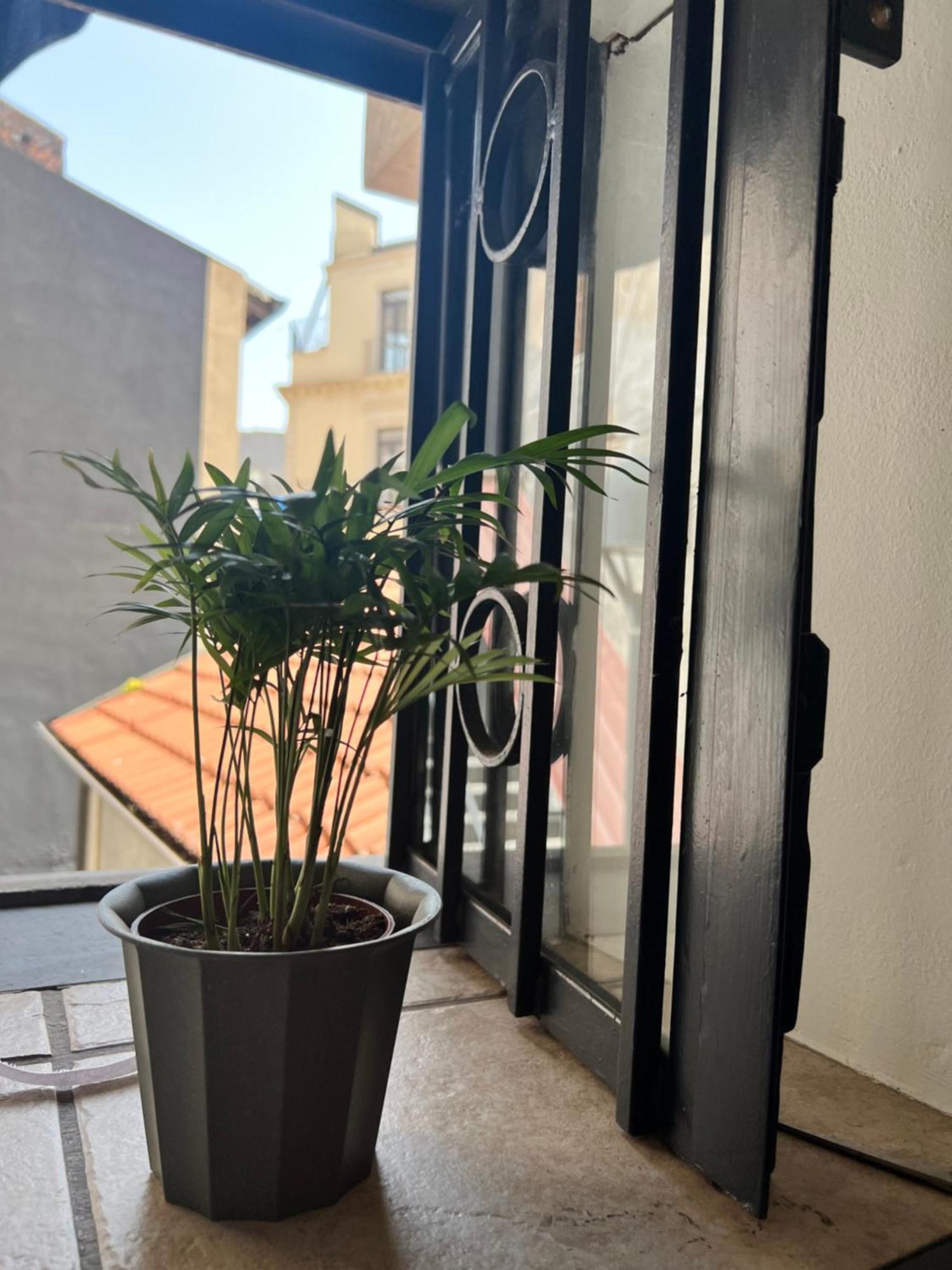 Barcaioli'S Home Katania Zewnętrze zdjęcie
